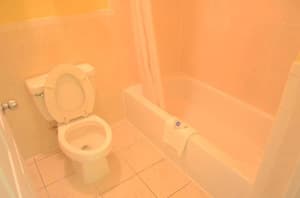thumbnail: 29602977.jpg