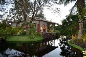 thumbnail: Garden