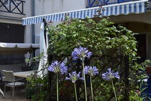 thumbnail: Terrace/patio