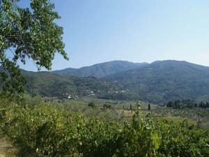 thumbnail: View from property