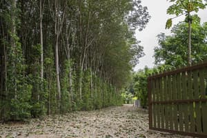 thumbnail: Property grounds
