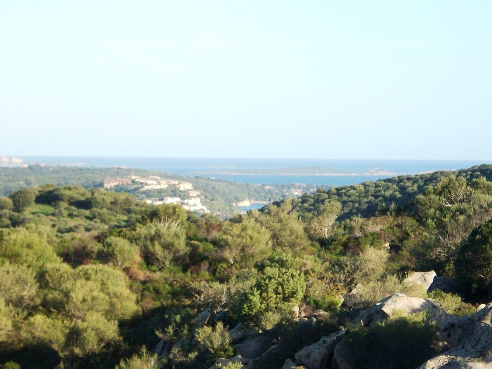 View from room