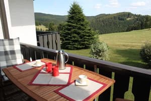 thumbnail: Terrace/patio