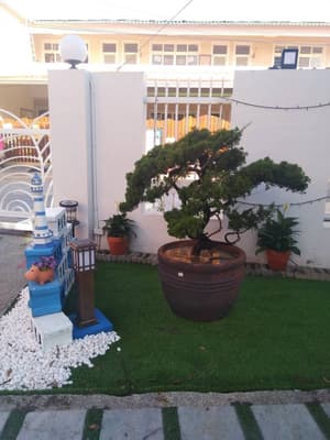 thumbnail: Garden