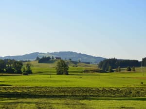 thumbnail: View from property