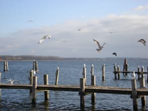 thumbnail: View from property