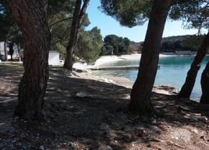 thumbnail: View from property