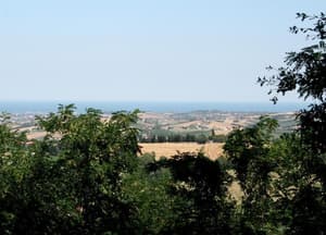 thumbnail: View from property