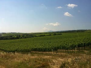 thumbnail: View from property