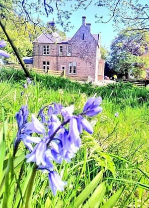thumbnail: Garden