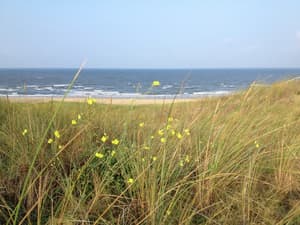 thumbnail: View from property
