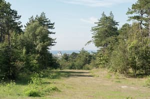 thumbnail: View from property
