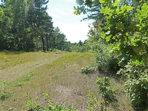 thumbnail: View from property