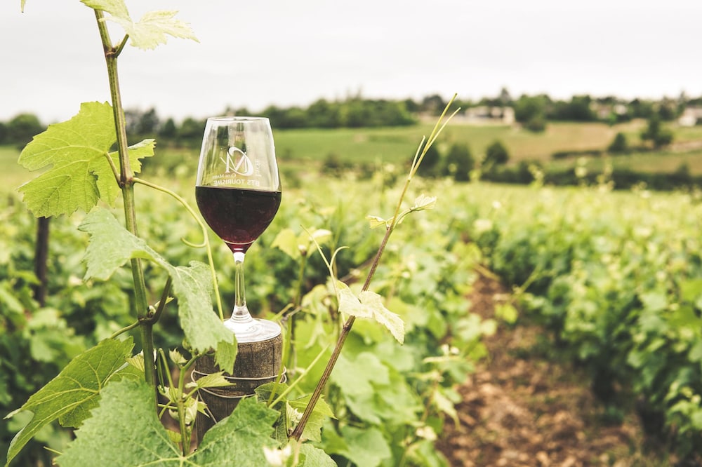 Winery