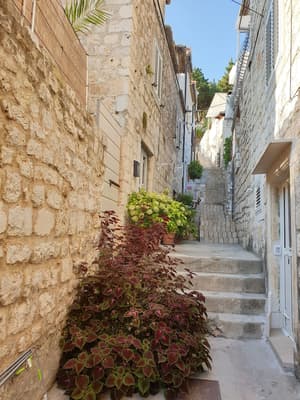 thumbnail: Street view