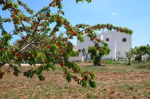 thumbnail: Exterior