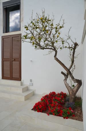 thumbnail: Exterior detail