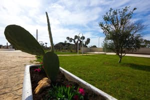 thumbnail: Garden