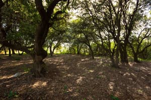 thumbnail: Property grounds
