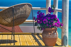 thumbnail: Terrace/patio