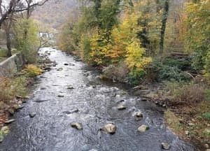 thumbnail: View from property