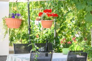 thumbnail: Outdoor dining