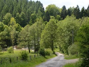 thumbnail: View from property