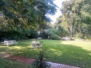 thumbnail: Garden view
