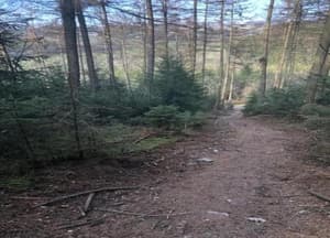 thumbnail: View from property