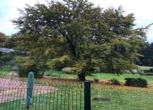 thumbnail: View from property