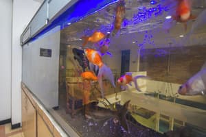 thumbnail: Restaurant