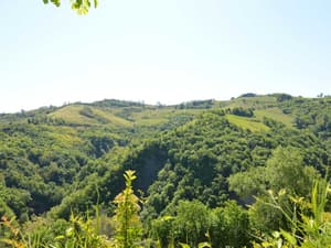 thumbnail: View from property