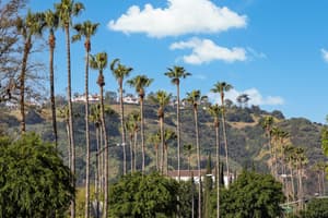 thumbnail: Land view from property