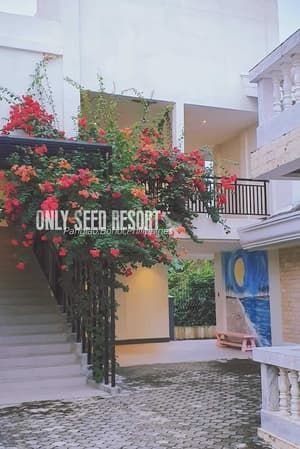 thumbnail: Resort view