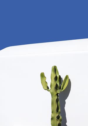thumbnail: Exterior detail