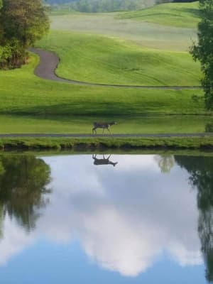 thumbnail: Golf