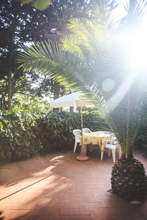 thumbnail: Terrace/patio