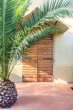 thumbnail: Terrace/patio