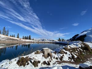 thumbnail: View from property