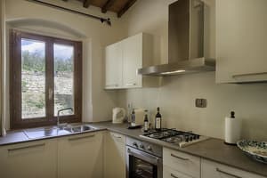 thumbnail: Private kitchen