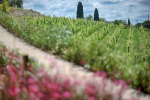 thumbnail: Garden