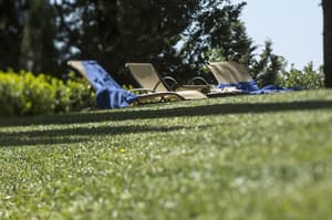 thumbnail: Garden