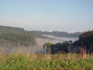 thumbnail: View from property