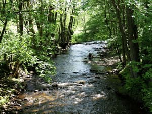 thumbnail: View from property