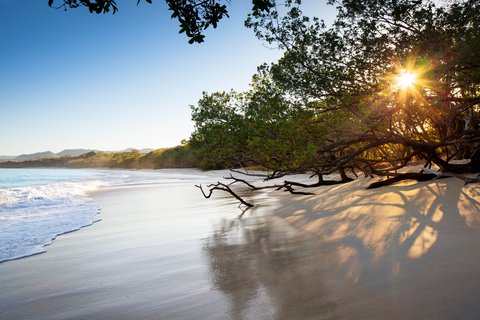 Conchal Beach