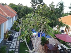 thumbnail: Garden view