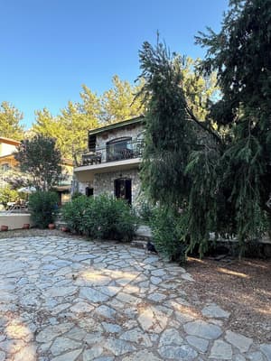 thumbnail: Terrace/patio