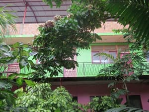 thumbnail: Exterior