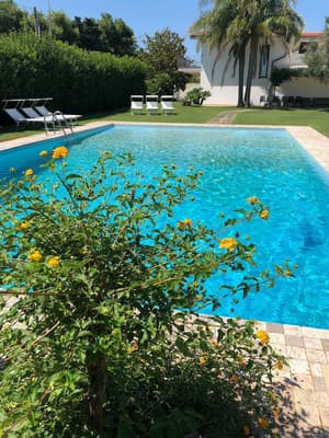 thumbnail: Outdoor pool