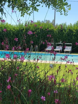 thumbnail: Pool